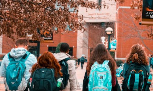 Introduction to Applied Statistics Assignment Help – A Complete Guide for Students