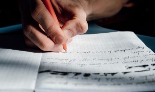 Instant Statistics Assignment Help: Your Academic Success Partner